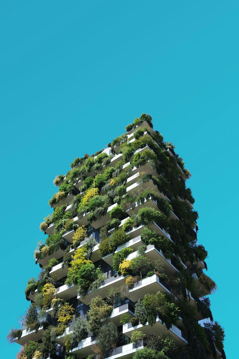 Commercial architecture project